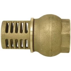 Boutté CRE33 Crepine Laiton 33x42, Or